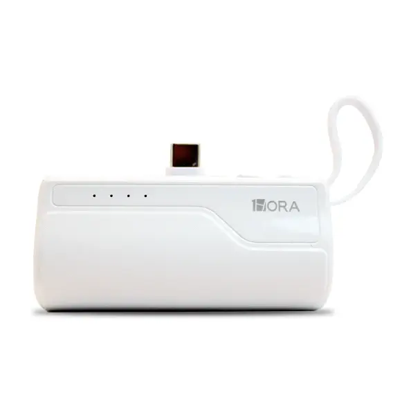 BATERIA PORTATIL 1HORA 4.5K MAH GAR262