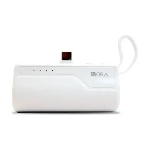 BATERIA PORTATIL 1HORA 4.5K MAH GAR262
